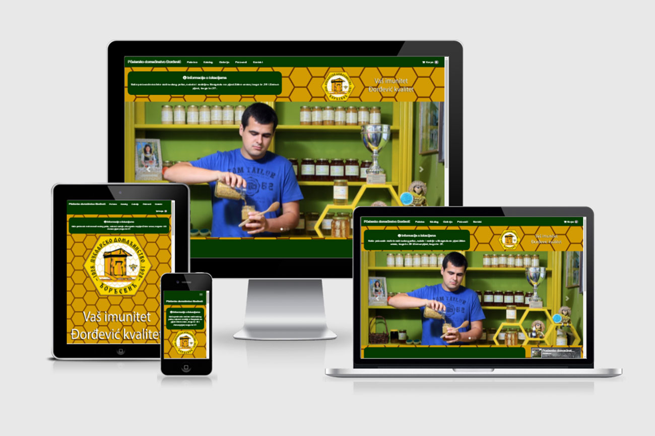 portfolio
